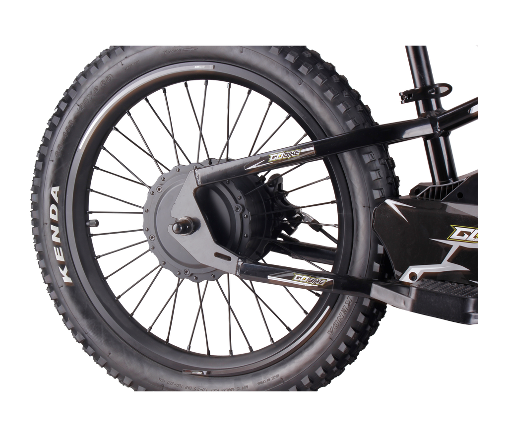 GoBike 20 Inch Electric Bike for Kids & Teens –For Ages 9–16