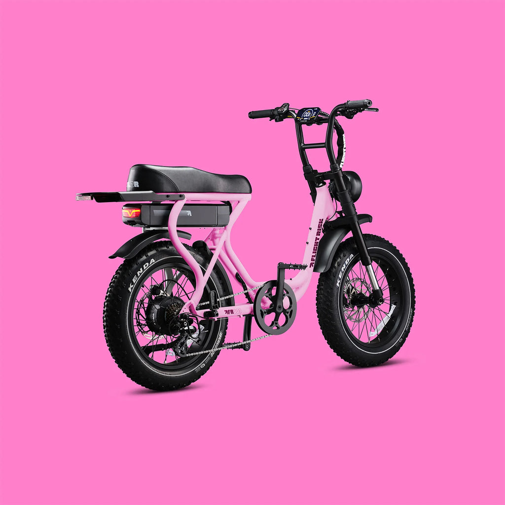 Flight Risk 303 FLIGHT RISK - FR303 – eBike Supply Co